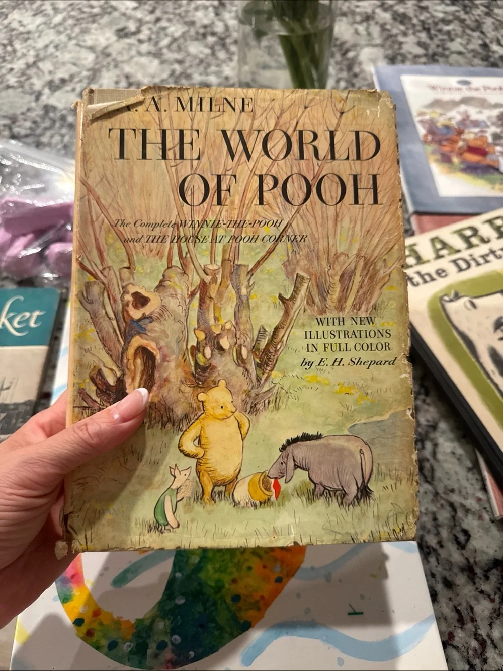 The World of Pooh A A Milne 1957 Illustrated Book, Hardcover With Dust Jacket